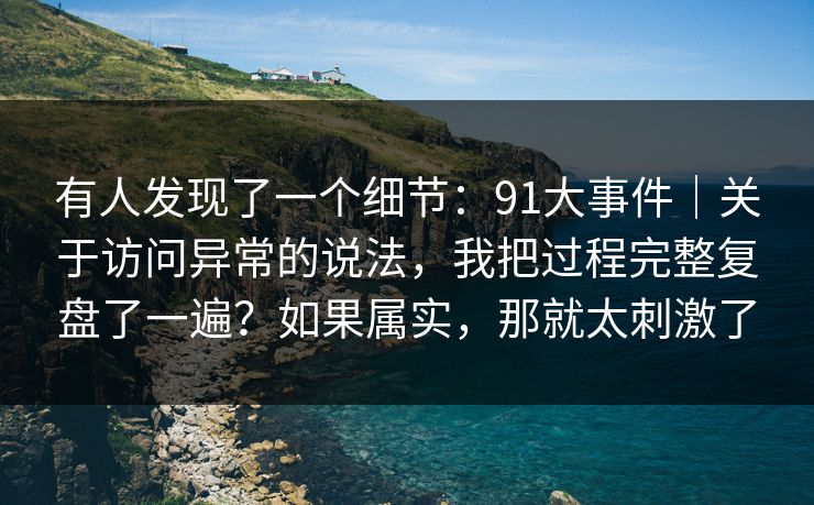 有人发现了一个细节：91大事件｜关于访问异常的说法，我把过程完整复盘了一遍？如果属实，那就太刺激了