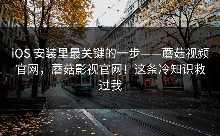 iOS 安装里最关键的一步——蘑菇视频官网,蘑菇影视官网!这条冷知识救过我 iOS 安装里最关键的一步——蘑菇视频官网,蘑菇影视官网!这条冷知识救过我